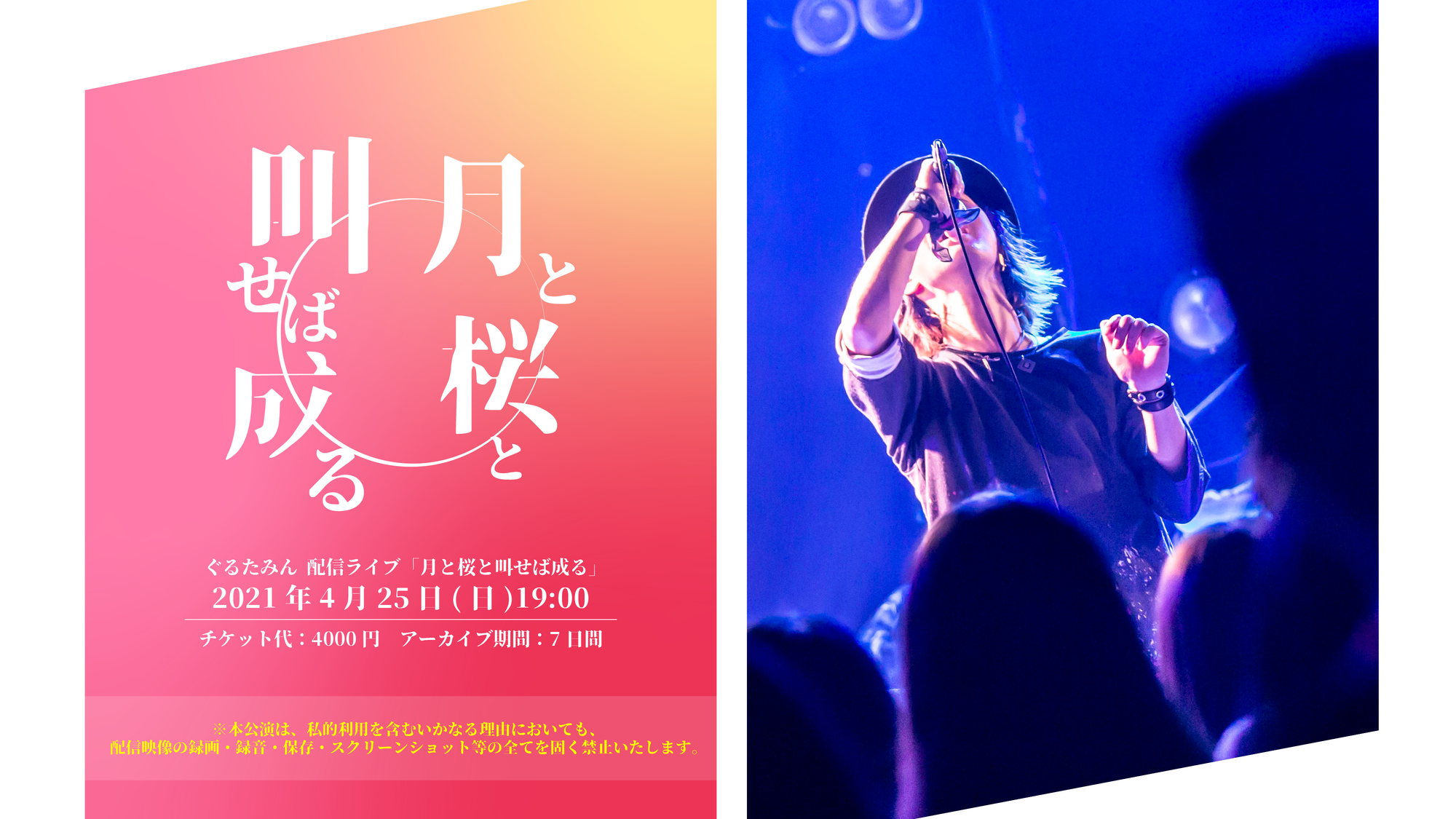 ぐるたみん配信ライブ「月と桜と叫せば成る」 | GLUTAMINE OFFICIAL